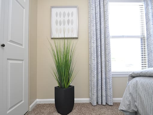 a bedroom with two windows and a plant in a black vase