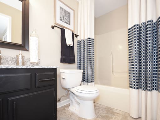 a bathroom with a shower curtain and a toilet and a sink