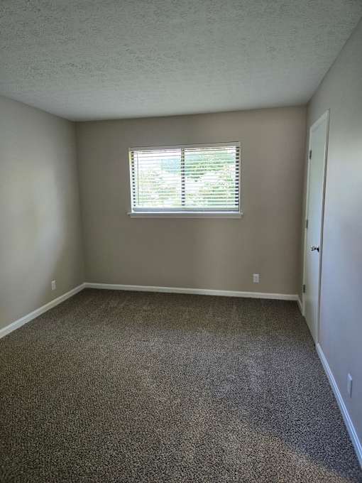 A room with a carpeted floor and a window with blinds.