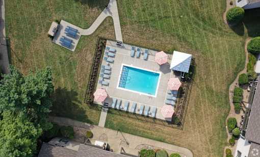 arial view of a swimming pool in a backyard with umbrellas