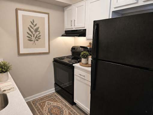 A black refrigerator stands in a kitchen with white cabinets and a framed leaf picture on the wall.