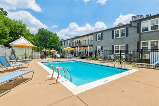A swimming pool surrounded by lounge chairs and umbrellas on a sunny day in Lexington, KY