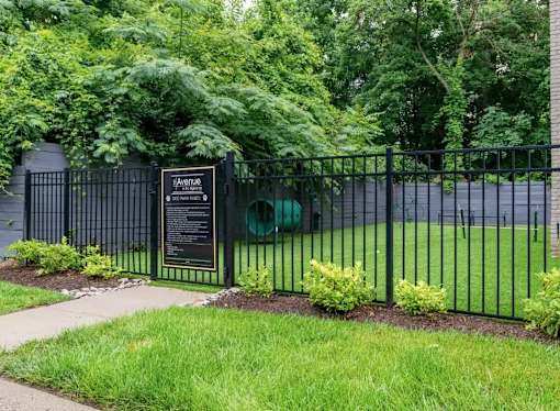 The entrance to a dog park with fence and gate  at Avenue in the Highlands Apartments in Louisville