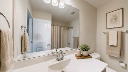 A bathroom with a white sink and a mirror.