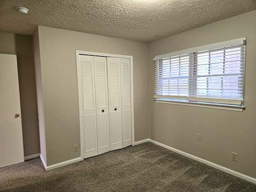 A room with a carpeted floor, a white closet with a door, and a window with blinds.