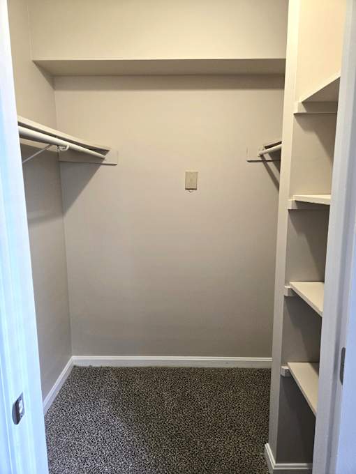 A small, empty closet with a carpeted floor.