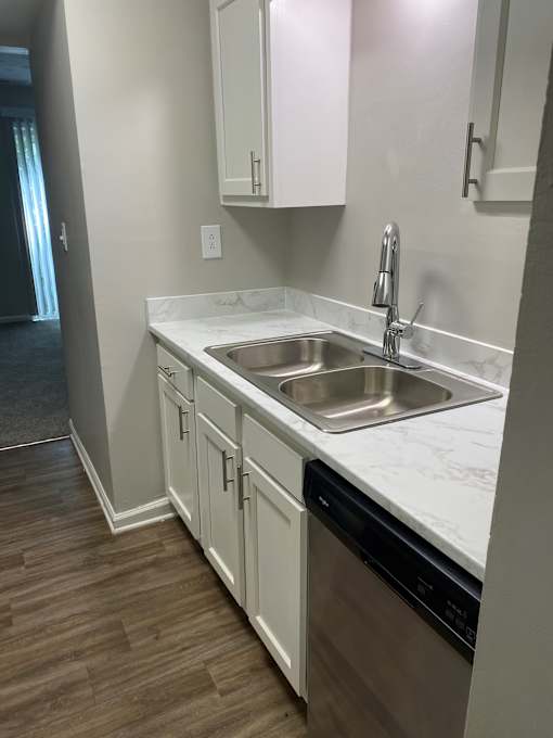A kitchen with a sink and a dishwasher.