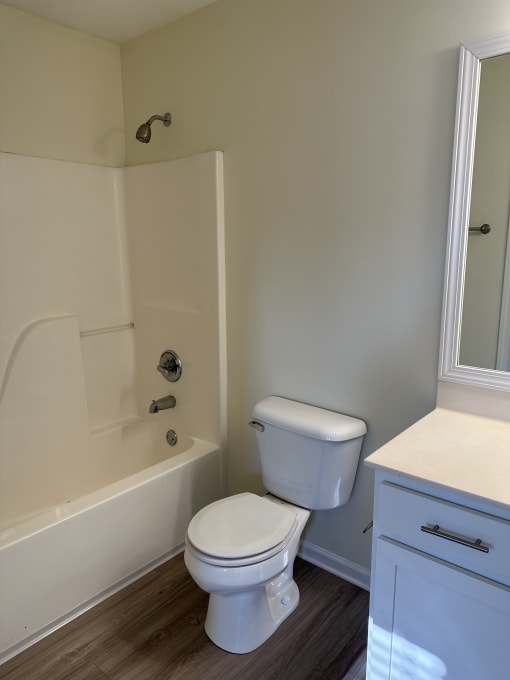 a bathroom with a sink and a toilet and a bath tub