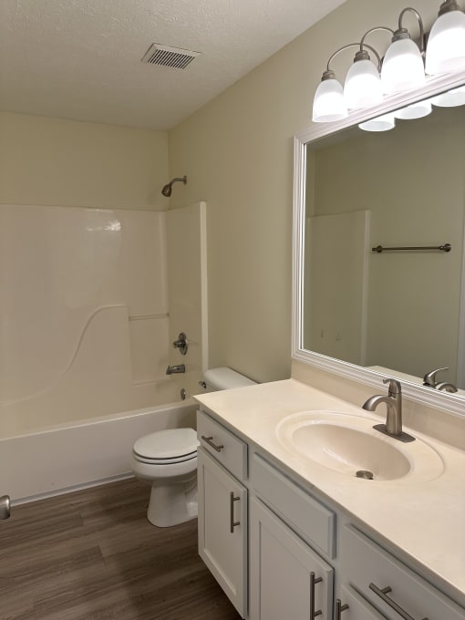a bathroom with a toilet and a sink and a mirror
