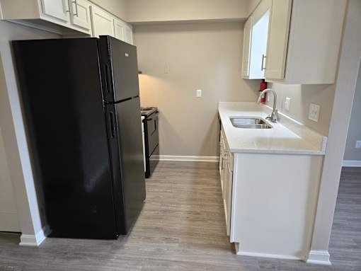 A black refrigerator is in a kitchen with a sink and a stove.
