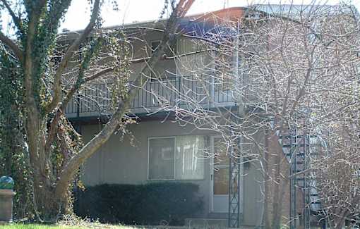An apartment building with a tree in front of it