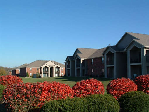 A row of houses with red bushes in front.