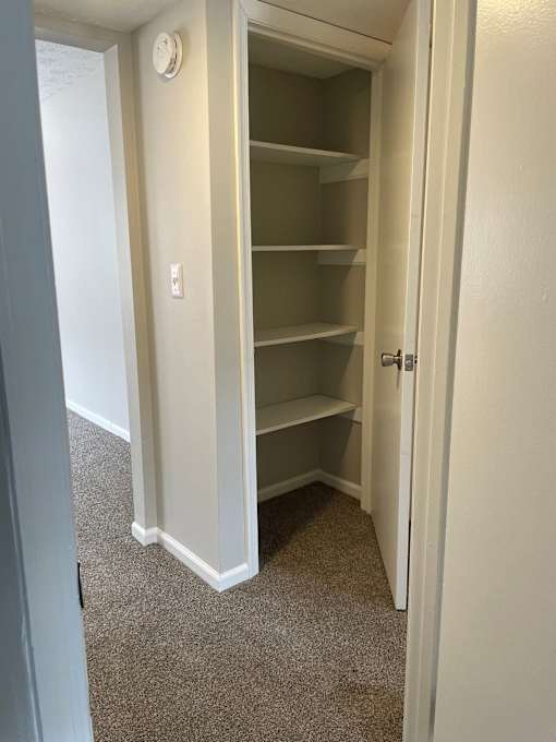 A white closet with a door open.