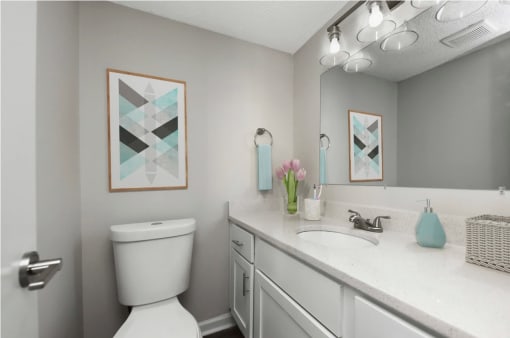 a bathroom with a toilet and a sink and a mirror