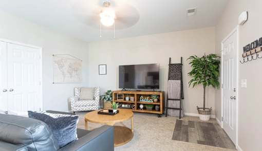 A living room with a couch, a coffee table, a television, and a potted plant.