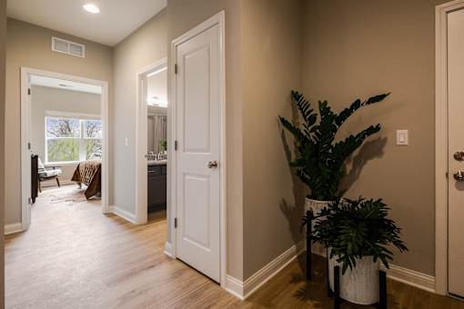 A room with a white door and a plant on the side.