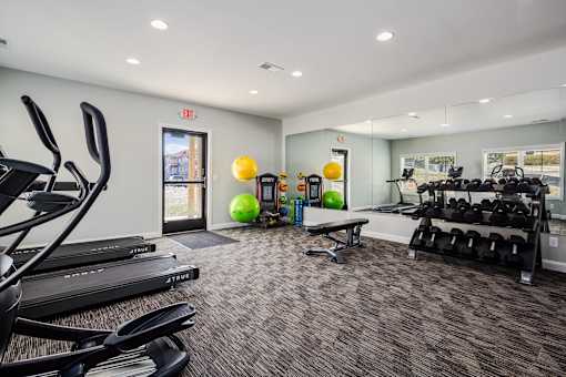 A gym with treadmills, exercise balls, and weights.