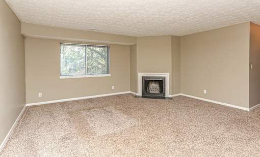 A room with a fireplace and a window.