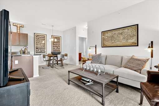 A living room with a grey couch, a coffee table, and a television.