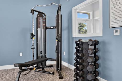A gym room with a squat rack, bench, and a stack of dumbbells.