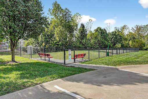 A park with a fence, benches, and trees.