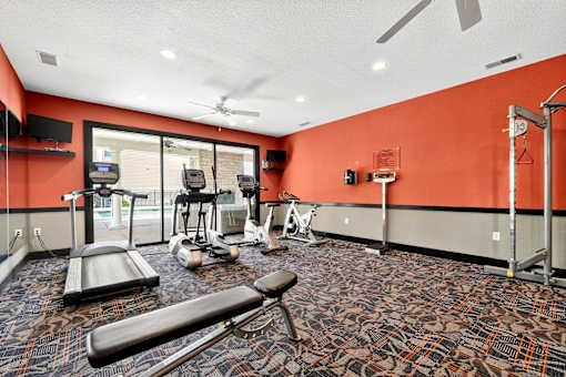 A gym with a variety of equipment including treadmills, weights, and a bench press.
