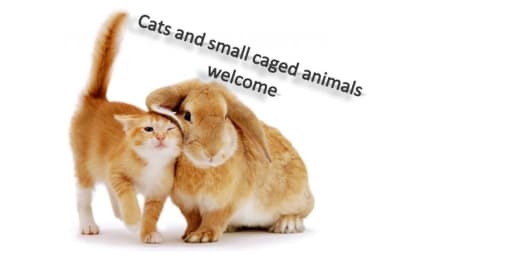 Cats & Small Caged Animals Welcome