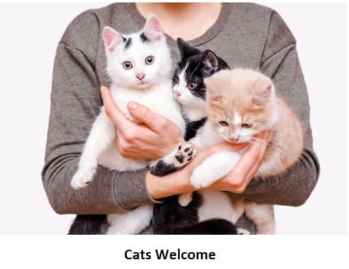 Cats Welcome