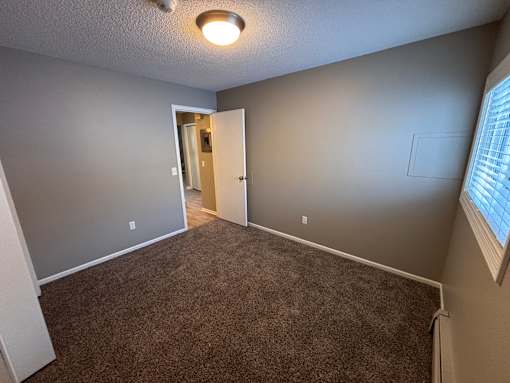 A room with a carpeted floor and a doorway leading to another room.