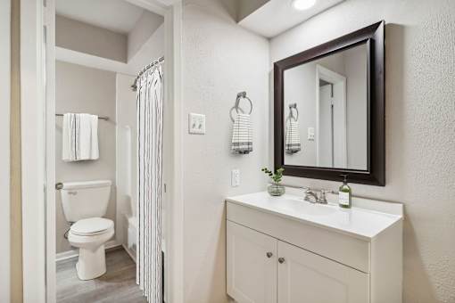 a bathroom with a toilet and a sink and a mirror at The Escapade, San Antonio, Texas