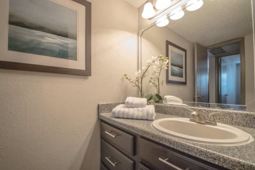 Luxurious Bathroom at Century Park, Texas