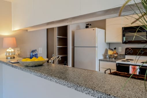 Granite Countertop Kitchen at Century Park, Dallas, TX, 75254