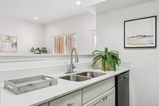 A modern kitchen with a stainless steel sink and a potted plant on the counter.
