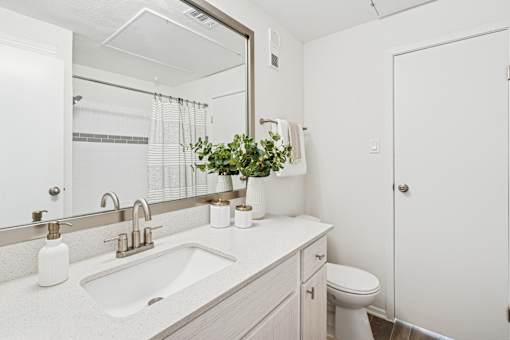 A bathroom with a white sink and a mirror.