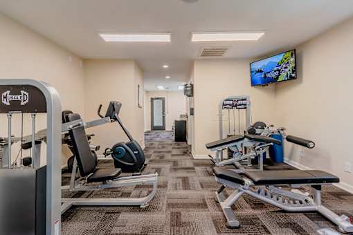 A gym with a variety of equipment including a treadmill, a rowing machine, and a bench press.