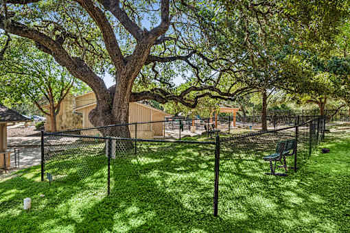 large tree in a yard at Crosspoint Oaks at Boerne, Texas, 78006