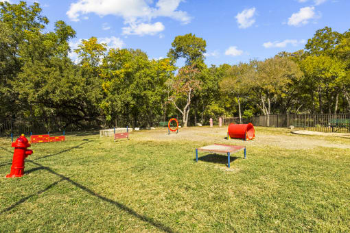 Dog Park