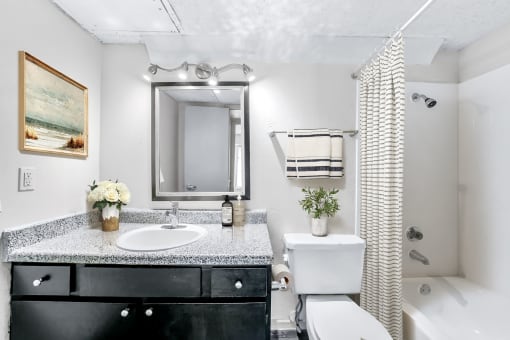 a bathroom with a sink toilet and bathtub  at Vesper, Texas, 75254