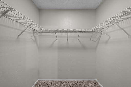 Empty white closet with shelves and a carpeted floor.