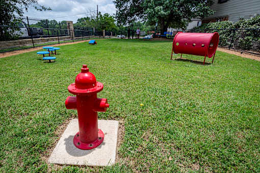 A red fire hydrant sits on a patch of grass in a park.