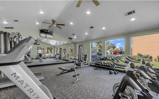 A gym with a variety of equipment including treadmills and a rowing machine.