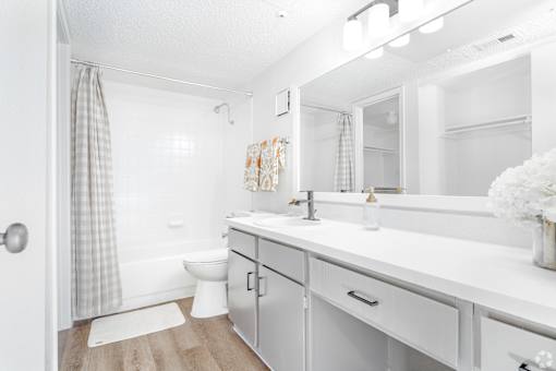 The Broadwater at Salado Creek Bathroom