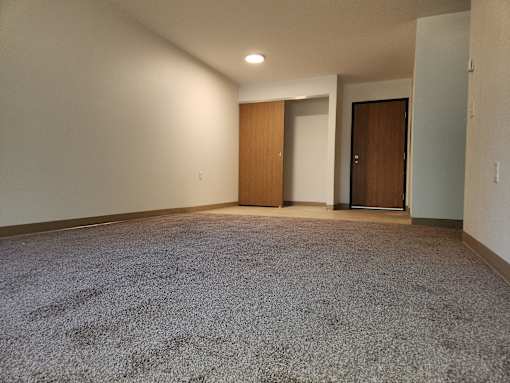 an empty living room with carpet and a door to a closet