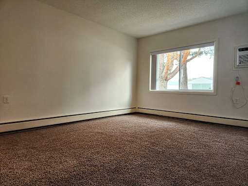 an empty room with a window and a carpet