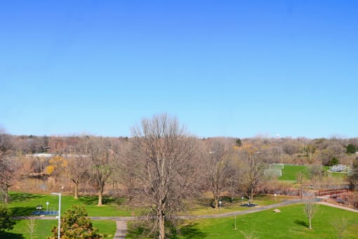 a view of the park from high in a building