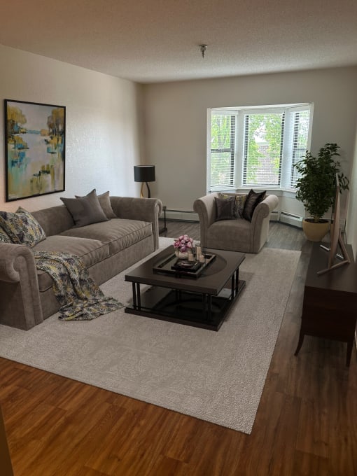 a living room with two couches and a coffee table