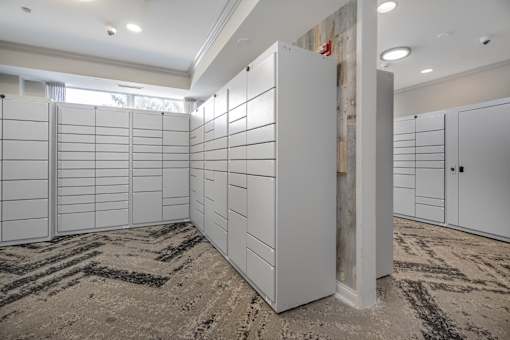 A room with a row of white closets and a carpeted floor.