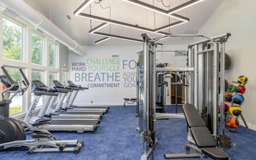 A gym with a row of treadmills and a row of exercise bikes.