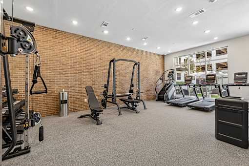 A gym with a variety of equipment including a treadmill, weights, and a bench press.