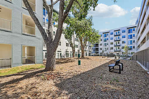 A tree in front of apartment buildings.